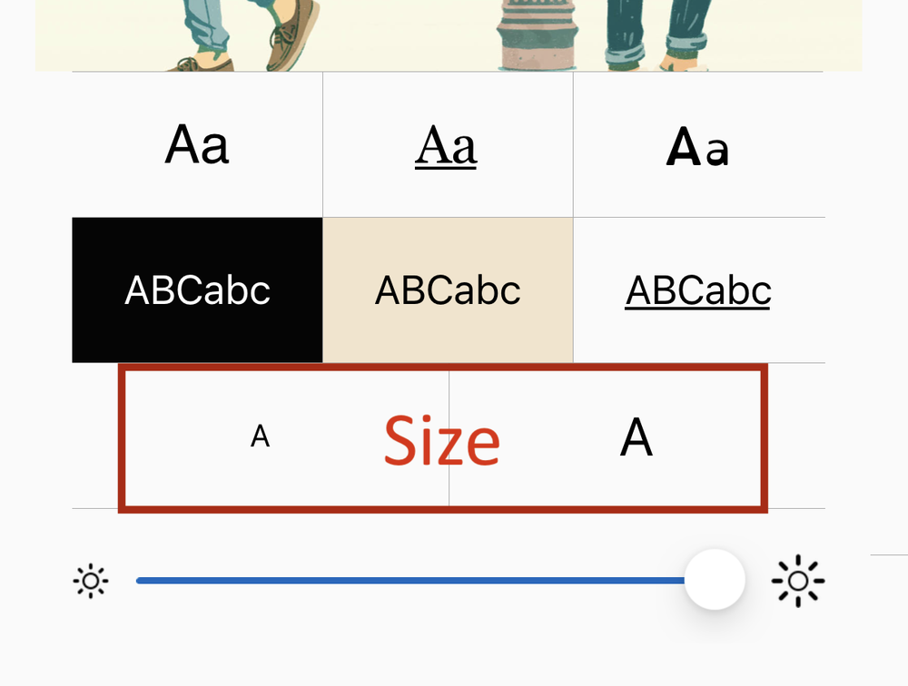 SimplyE FontSize