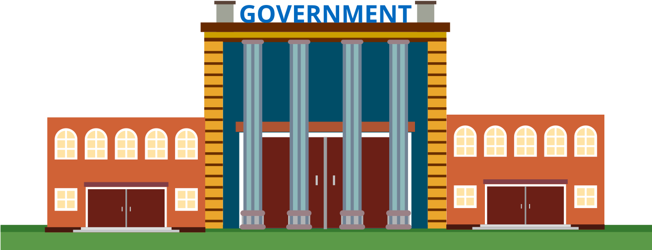 government-s